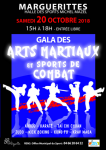 Affiche Arts Martiaux 2