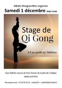 stage de qiqong_1_12_2018R
