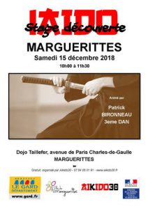stage_iaido_15_dec2018R
