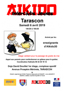 interjeunes tarascon-30032019R
