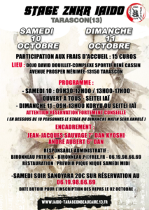 stage iaido tarascon octobre 2020 600