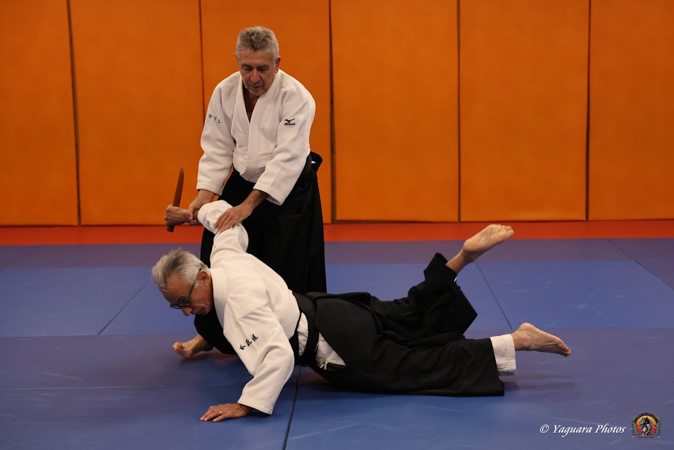 Les aikidokas se mobilisent contre le cancer du sein